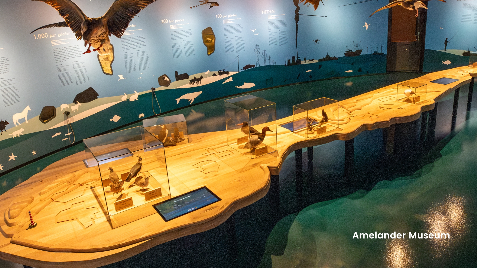 Bird displays in the Van Pool tot Paradijs exhibition at Amelander Museum